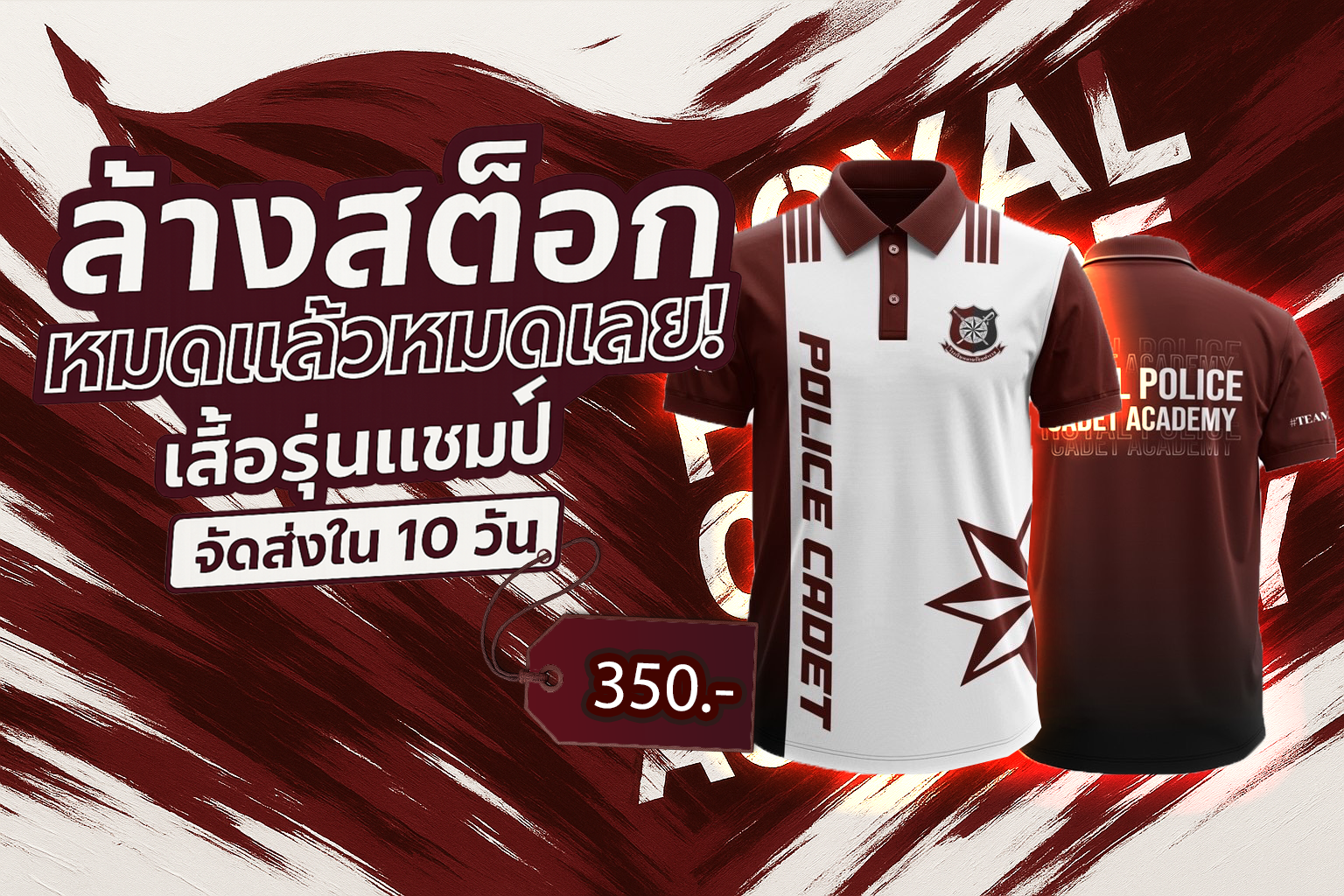 Special Offer Banner